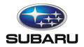 Logo of Subaru - Johannesburg Airport